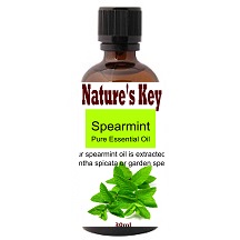 Spearmint Essential Oil