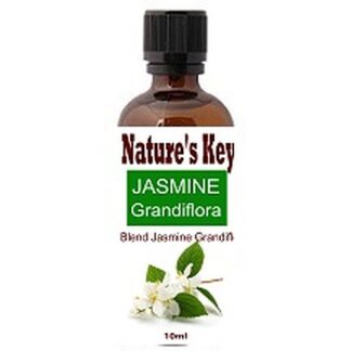 Jasmine Glandiflora