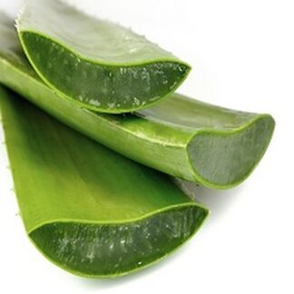 Pure Aloe Vera Solution