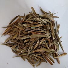 Dried Olive Leaves