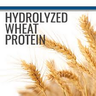 Wheat Protein Hydrolyzed