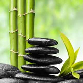 Fresh Bamboo Fragrance Oil