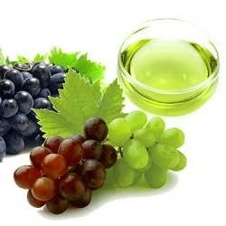 Refined Grape Seed Oil