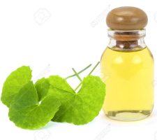 Gotu Kola Leaf Infused in Sunflower Oil