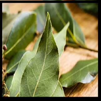 Tobacco and Bay leaf Type Fragrance Oil