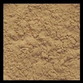 Yeast Extract Powder