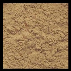 Black Willow Bark Powder