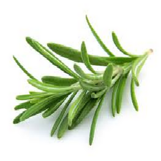 Rosemary Hydrosol